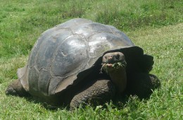 Life in the Slow Lane