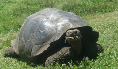 Life in the Slow Lane