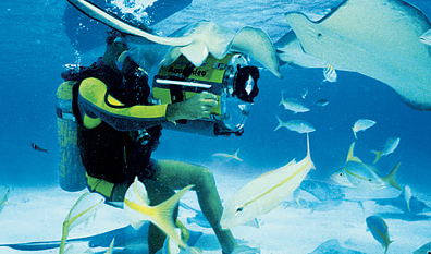 Hidden depths, Edmiston charter brochure