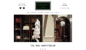 Hampstead Village, blog